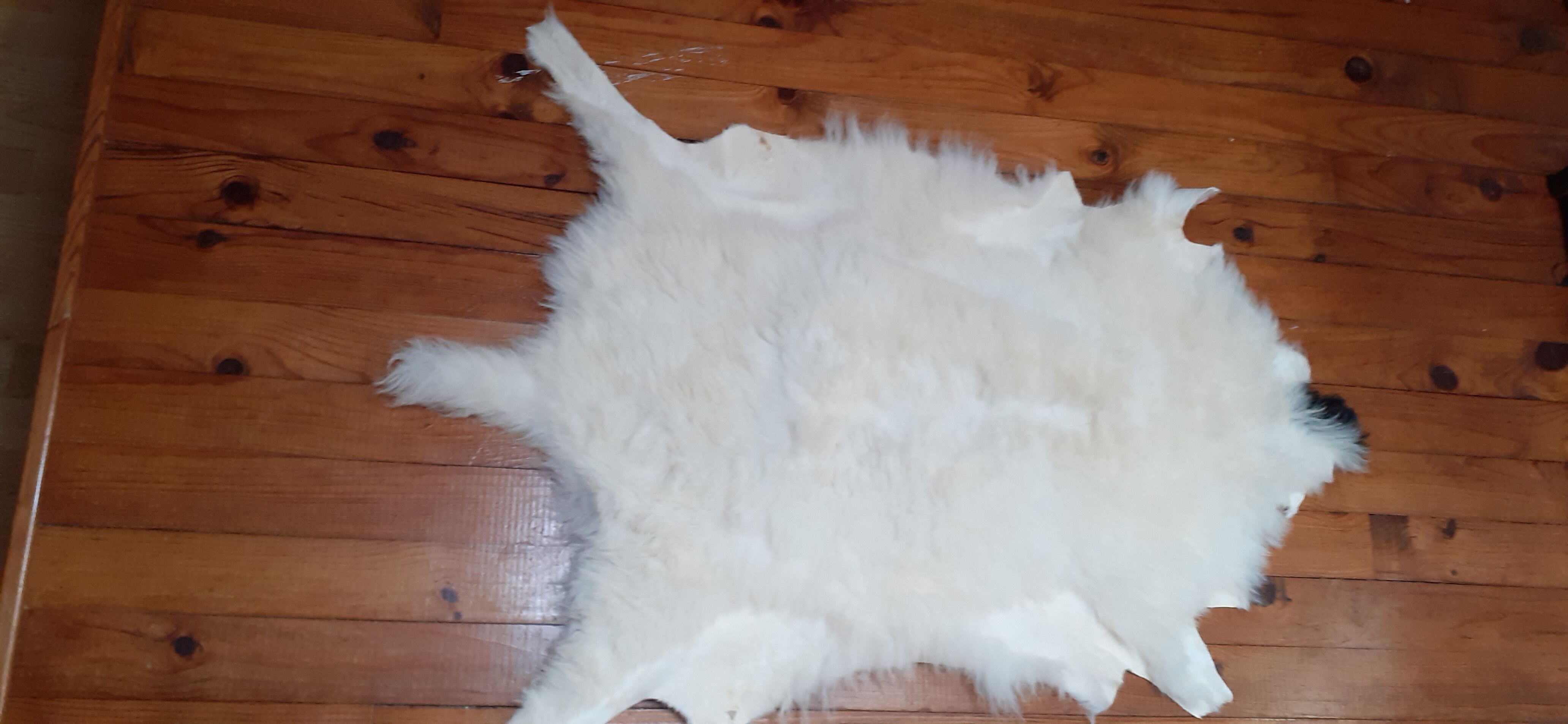 New sheepskin
