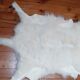 New sheepskin