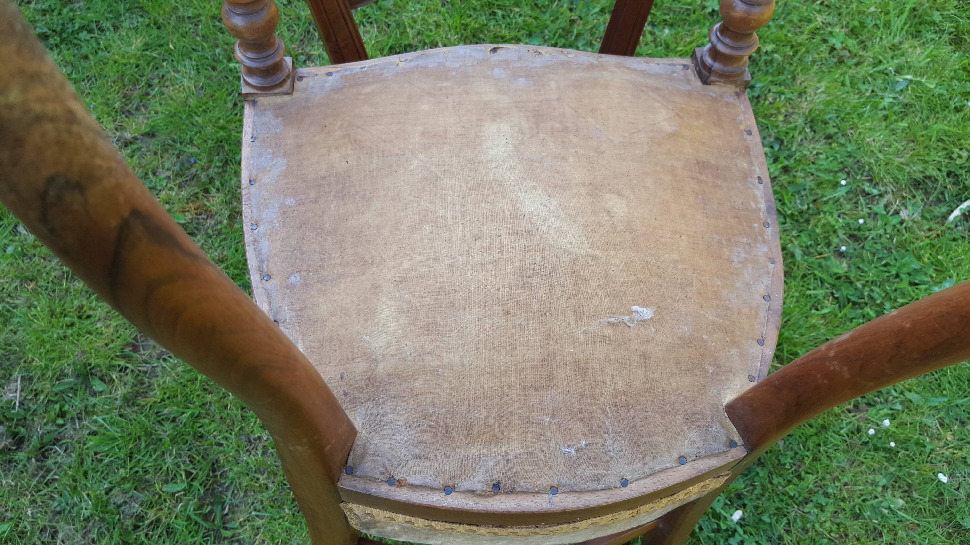 Pair of Napoleon III style chairs