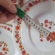 lot of arcopal scania dishes with small orange flowers flat plate, hollow dessert dish, one dish..