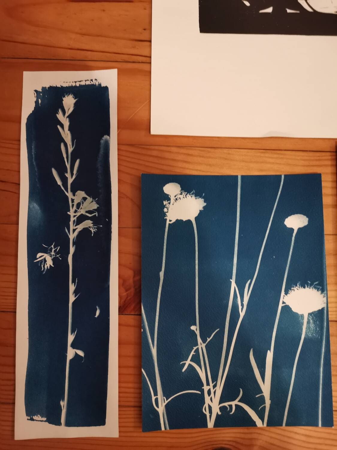 Cyanotype and wood engraving lot