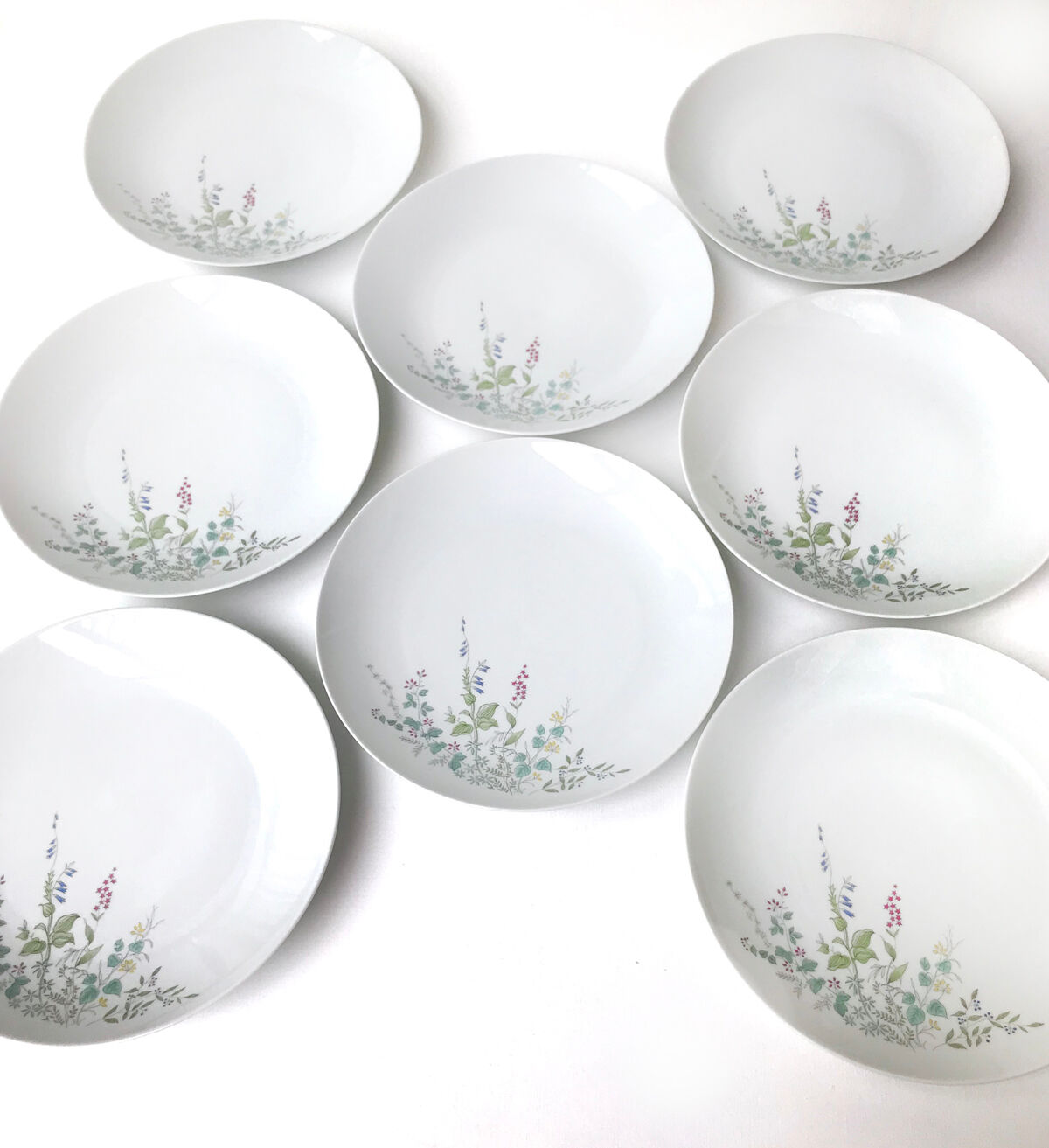 Set of 8 large vintage porcelain plates