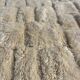 Berber Beni ouarain M'rirt rug in white natural wool