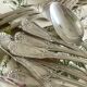 24 couverts anciens Louis XV.
