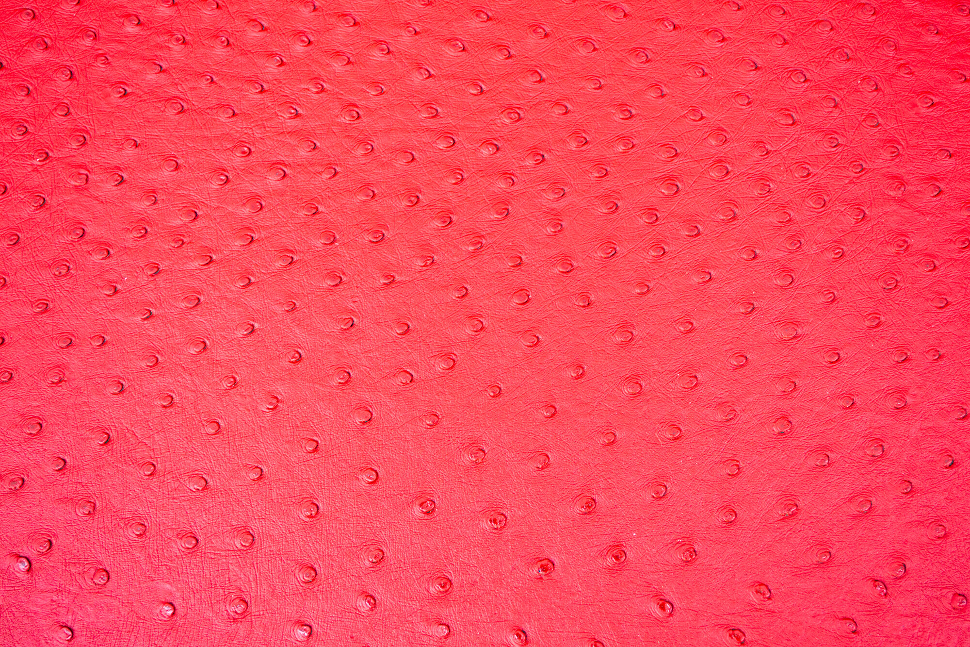 English Simone sofa by Kazuhide Takahama for Gavina, 1970s