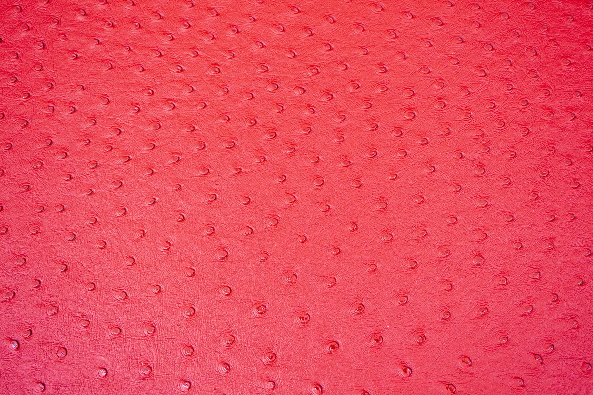 English Simone sofa by Kazuhide Takahama for Gavina, 1970s