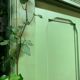Parisian wardrobe with sliding doors