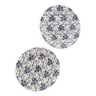 Royal Tudor “Bouquet” Plate