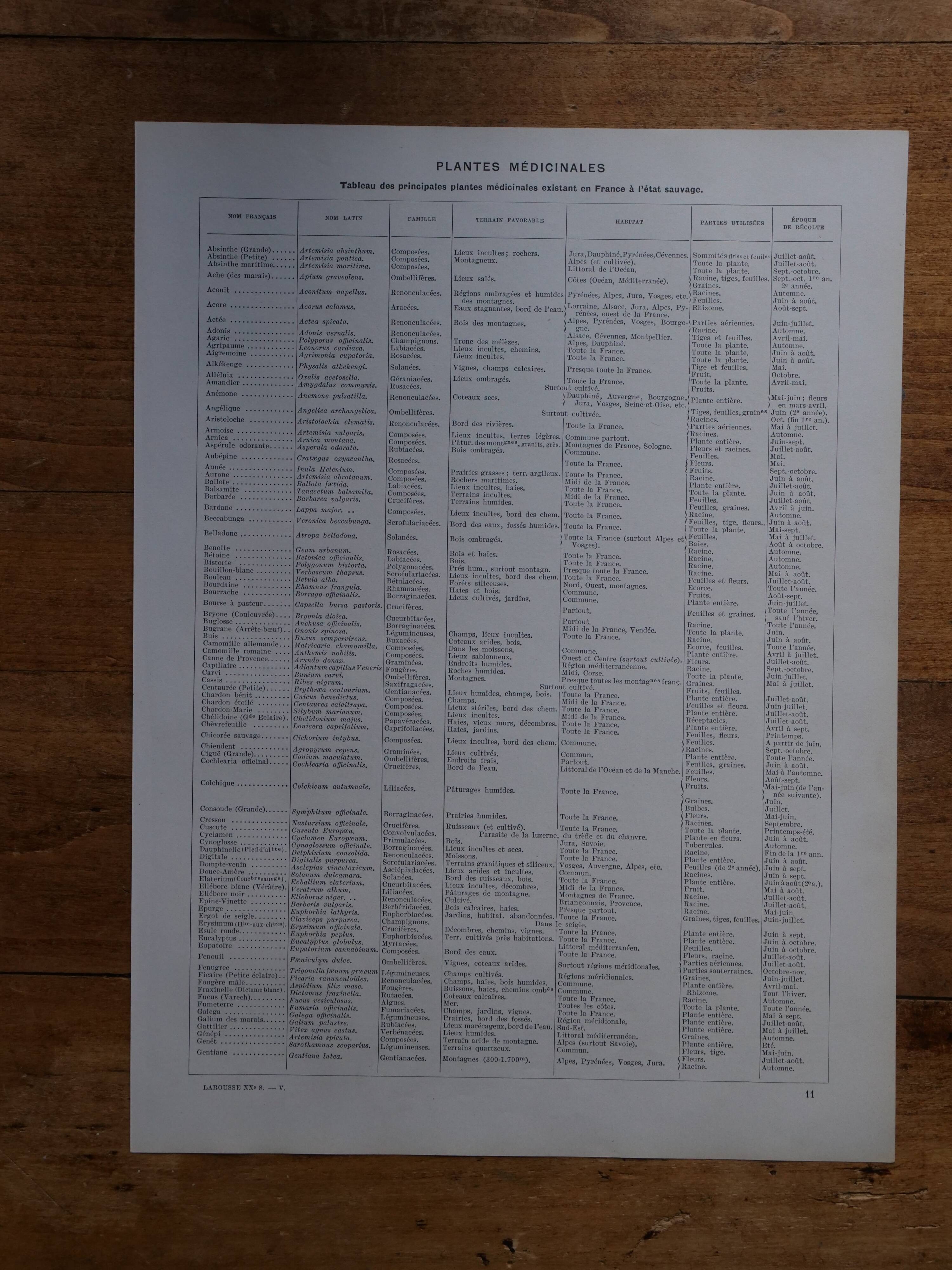 Original lithographs on medicinal plants