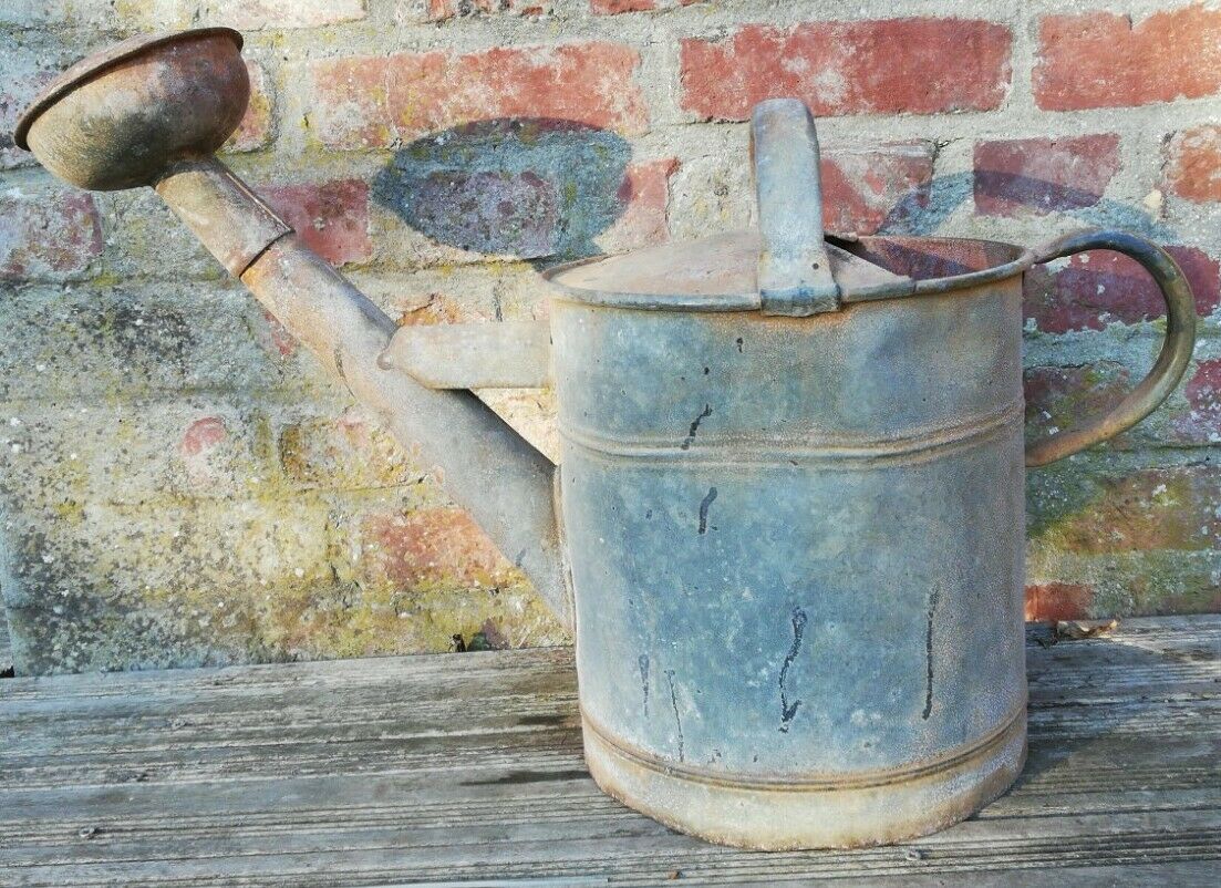 Vintage metal watering cane early 20th century