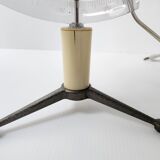 Vintage luminous globe 1950