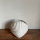 Vase coquillage