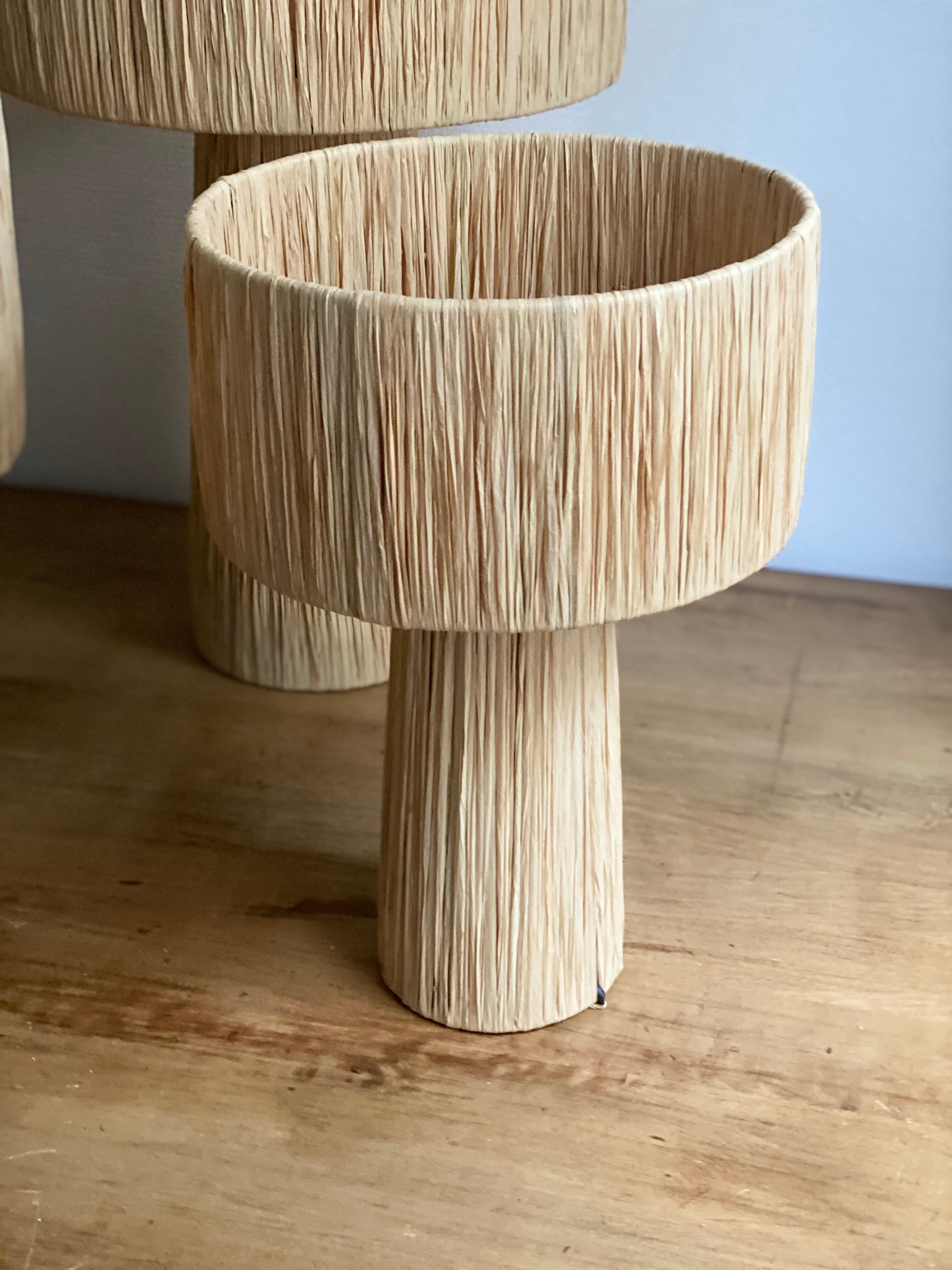 Minimalist raffia bedside table lamp