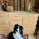 Raw craft furniture