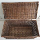 Wicker trunk