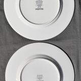 6 flat plates Villeroy & Boch basket model