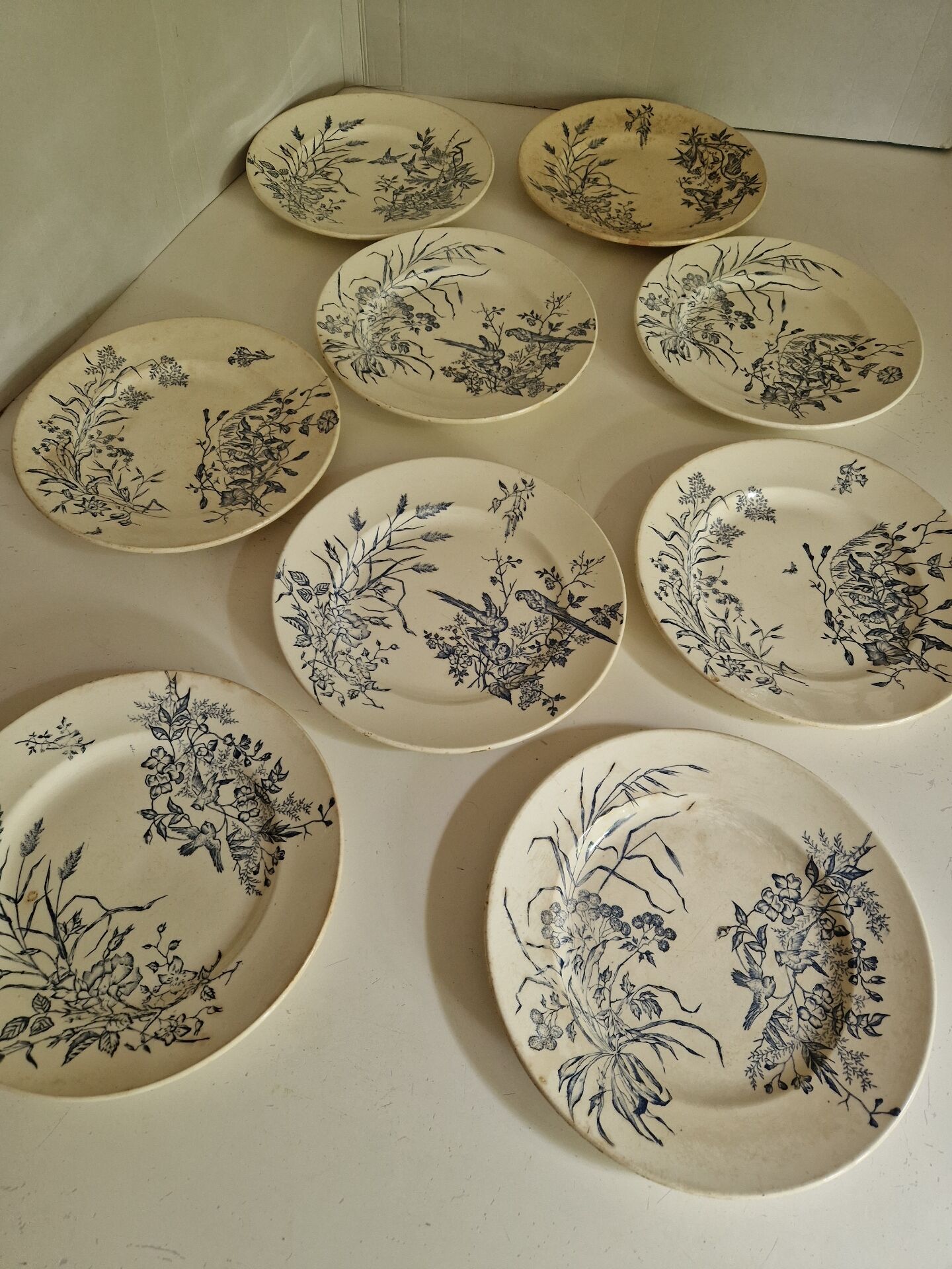 Lot De 9 Assiettes Plates Terre De Fer