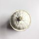 Ceramic sugar bowl Gien daisies antique