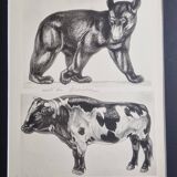 Illustrated plate, Studies of a Bear and an Ox Signed André Margat, 1930