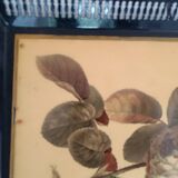 Large antique tray. Black openwork metal gallery and flower lithograph.