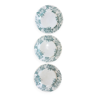 3 assiettes plates en terre de fer St. Amand, service Anémone