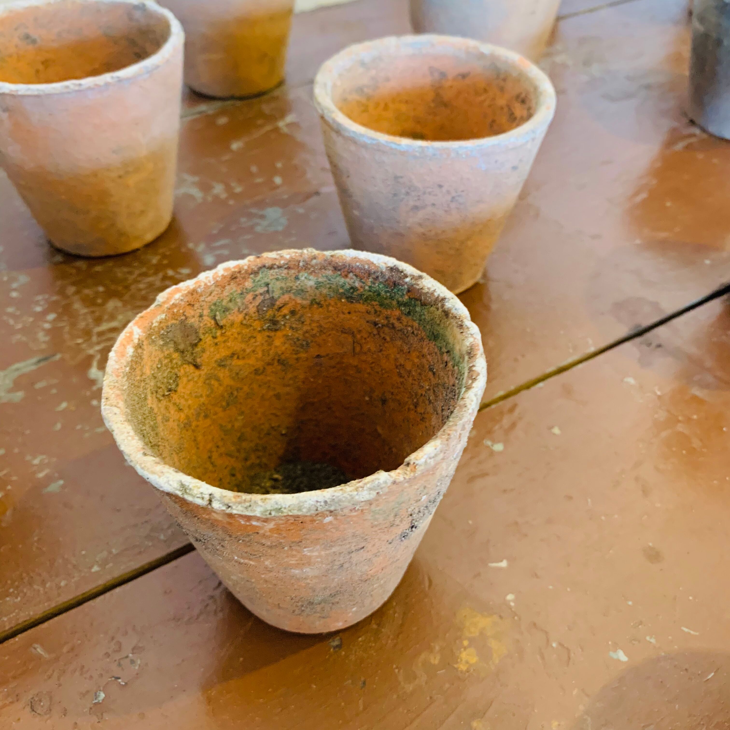 Lot of 30 terracotta pots circa 1930 graineterie
