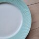 Flat plate mint