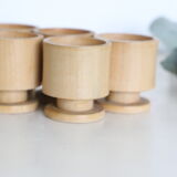 Set of 5 cockroaches on their wooden, vintage support