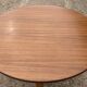 Table ronde scandinave avec rallonge