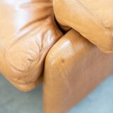 Pair of armchairs with cognac-colored pouf, "Coronado" model by Afra & Tobia scarpa for B&B It