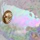 Vintage multicolour rainbow Murano glass ceiling light, 1970s