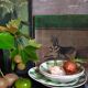 Set of plates Moulin des Loups vintage