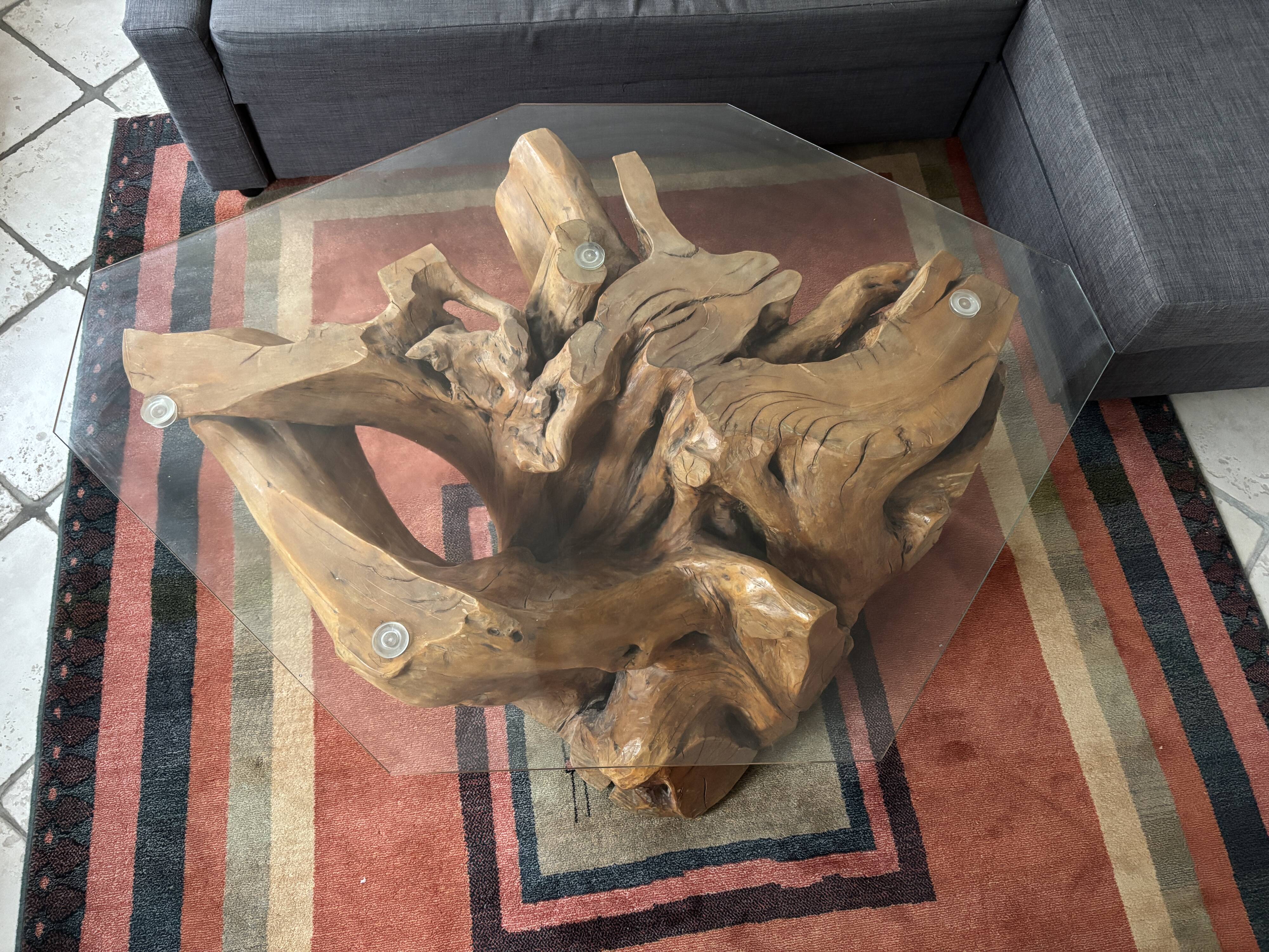 Olive tree stump coffee table