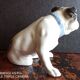 Gräfenthal - porcelain dog - H 12 cm