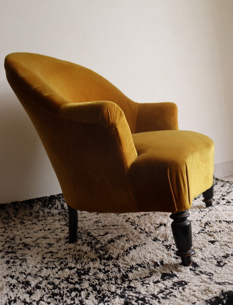 Ochre toad Napoleon III