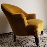 Ochre toad Napoleon III