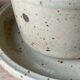 Two large Jean Austruy stoneware cups and saucers