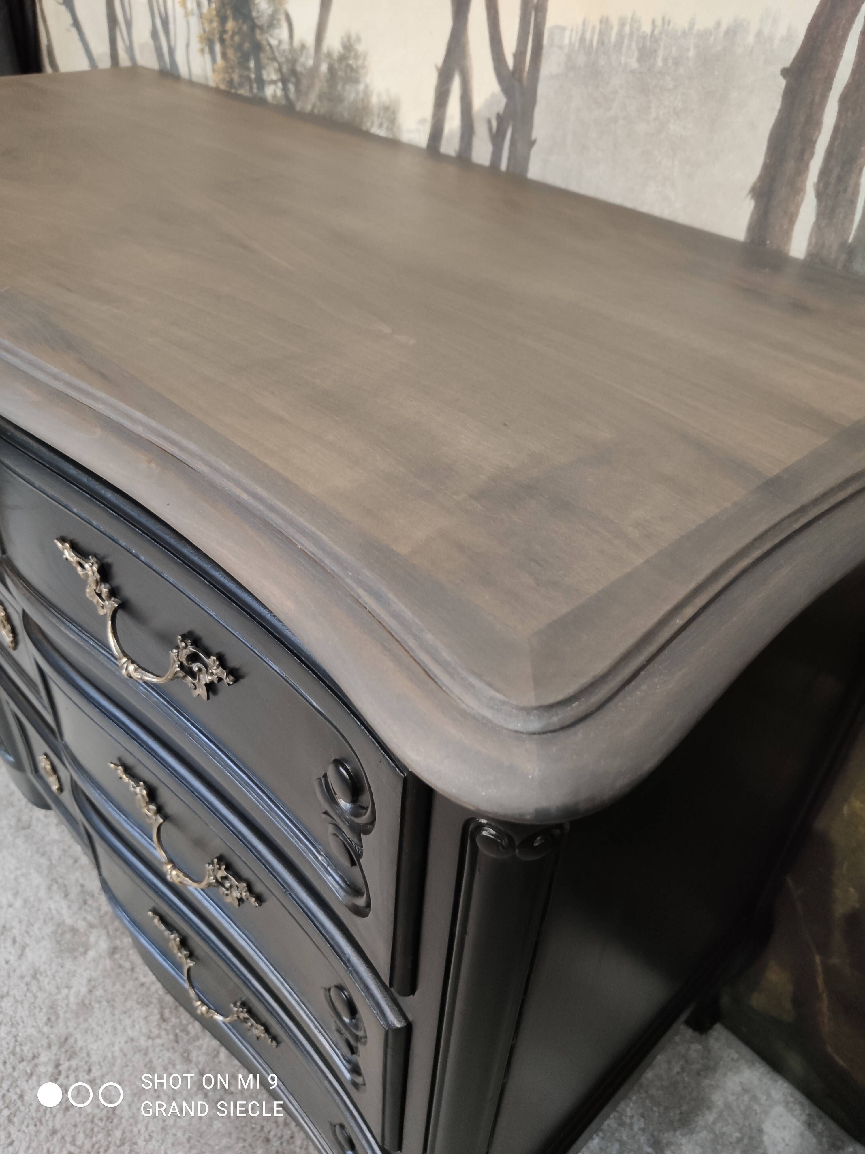 Antique black patinated chest of drawers