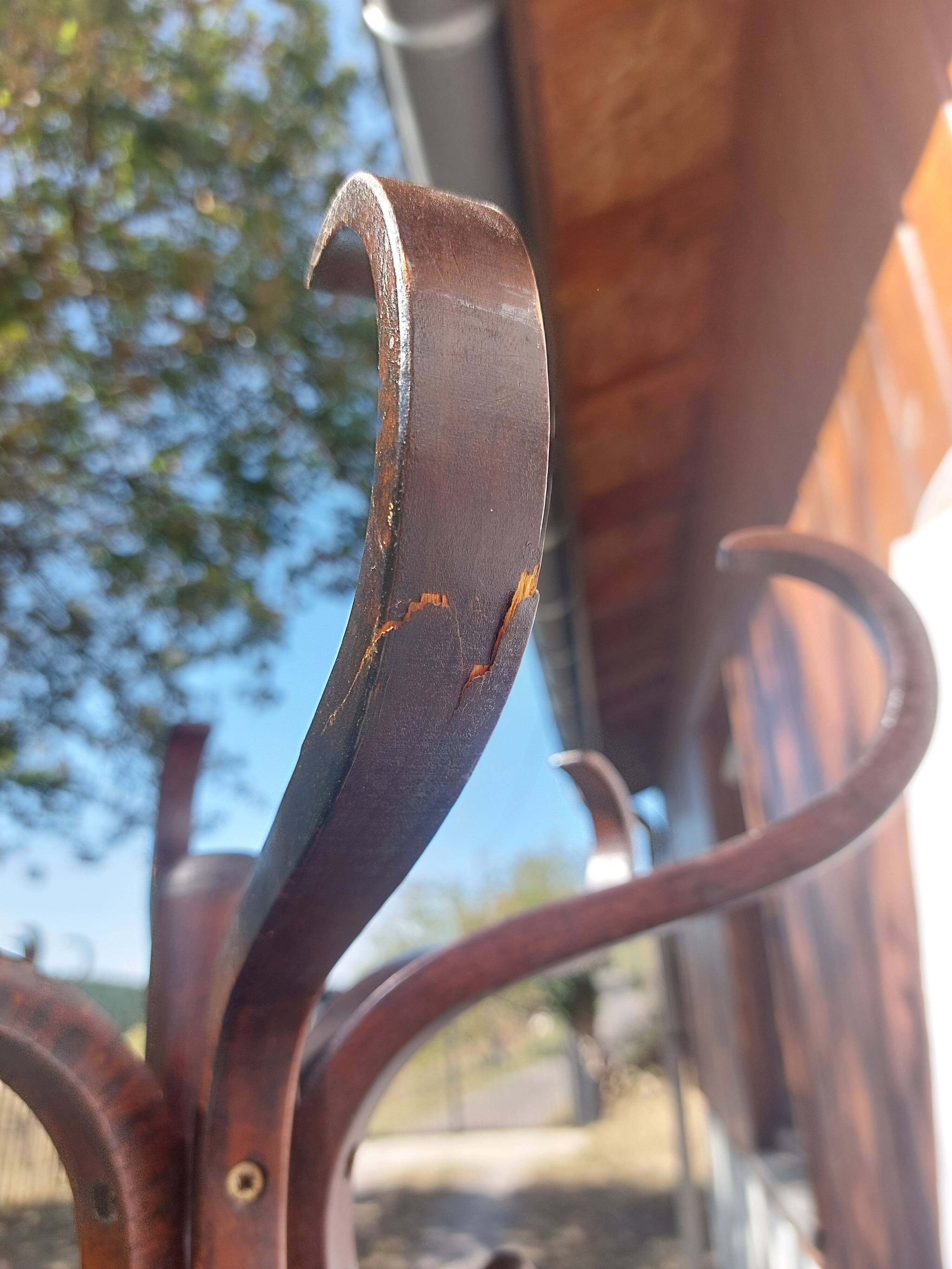 portemanteau perroquet, teinte bois foncée