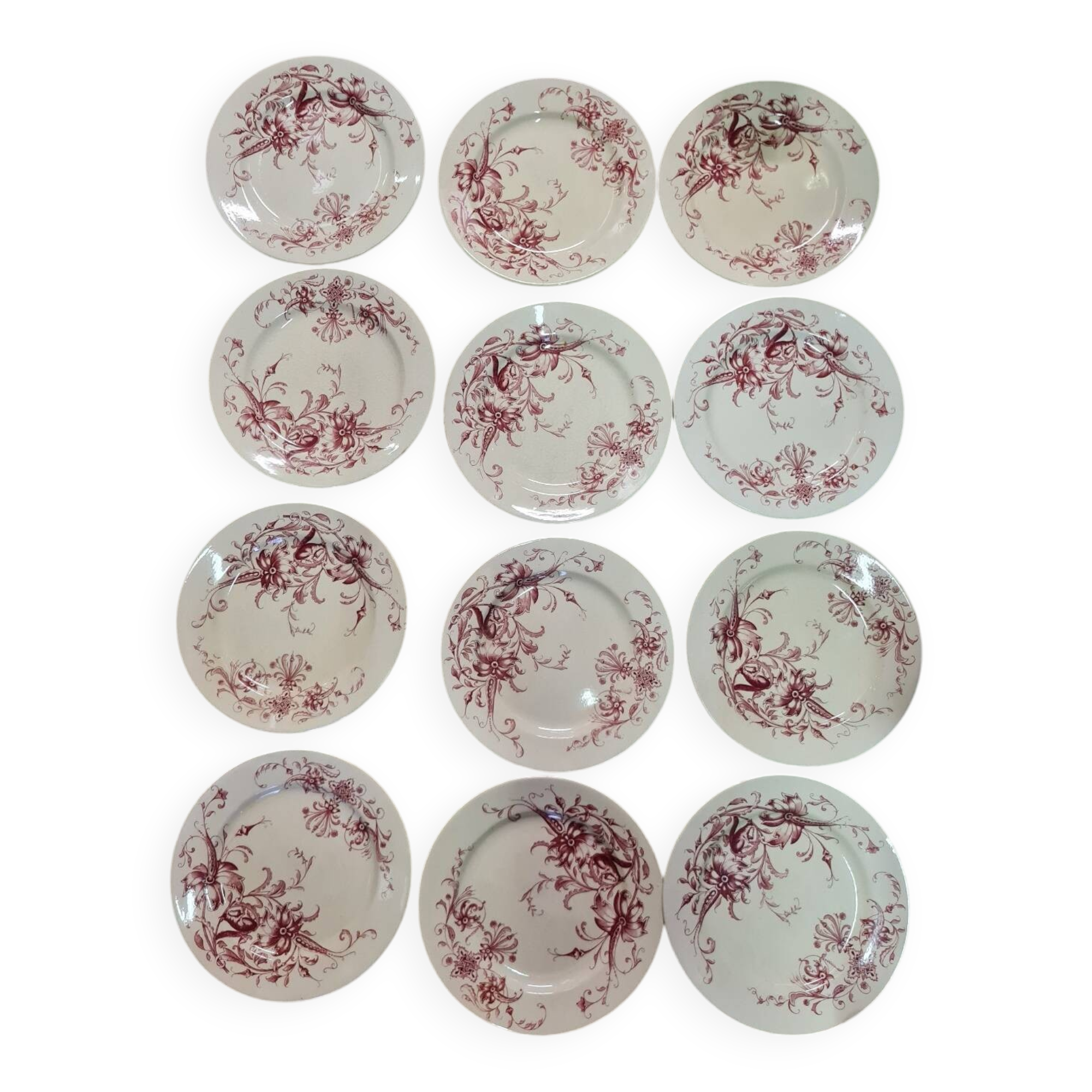 Samaritan Squirrel Service EC