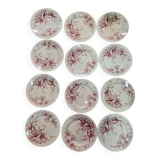 Samaritan Squirrel Service EC