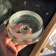 Set of 3 glass candy jars
