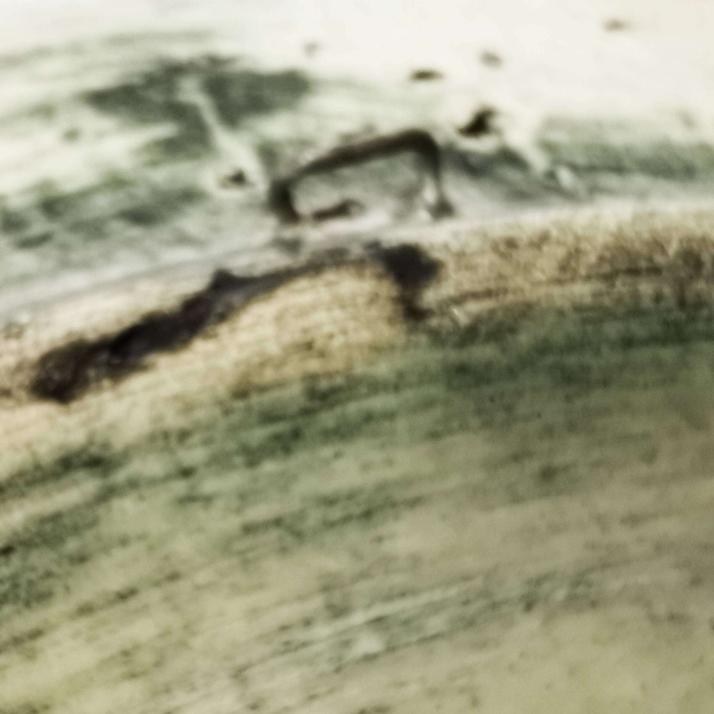 Ceramic wall plate, Arol, Norway, 1960s