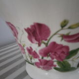 Pitcher