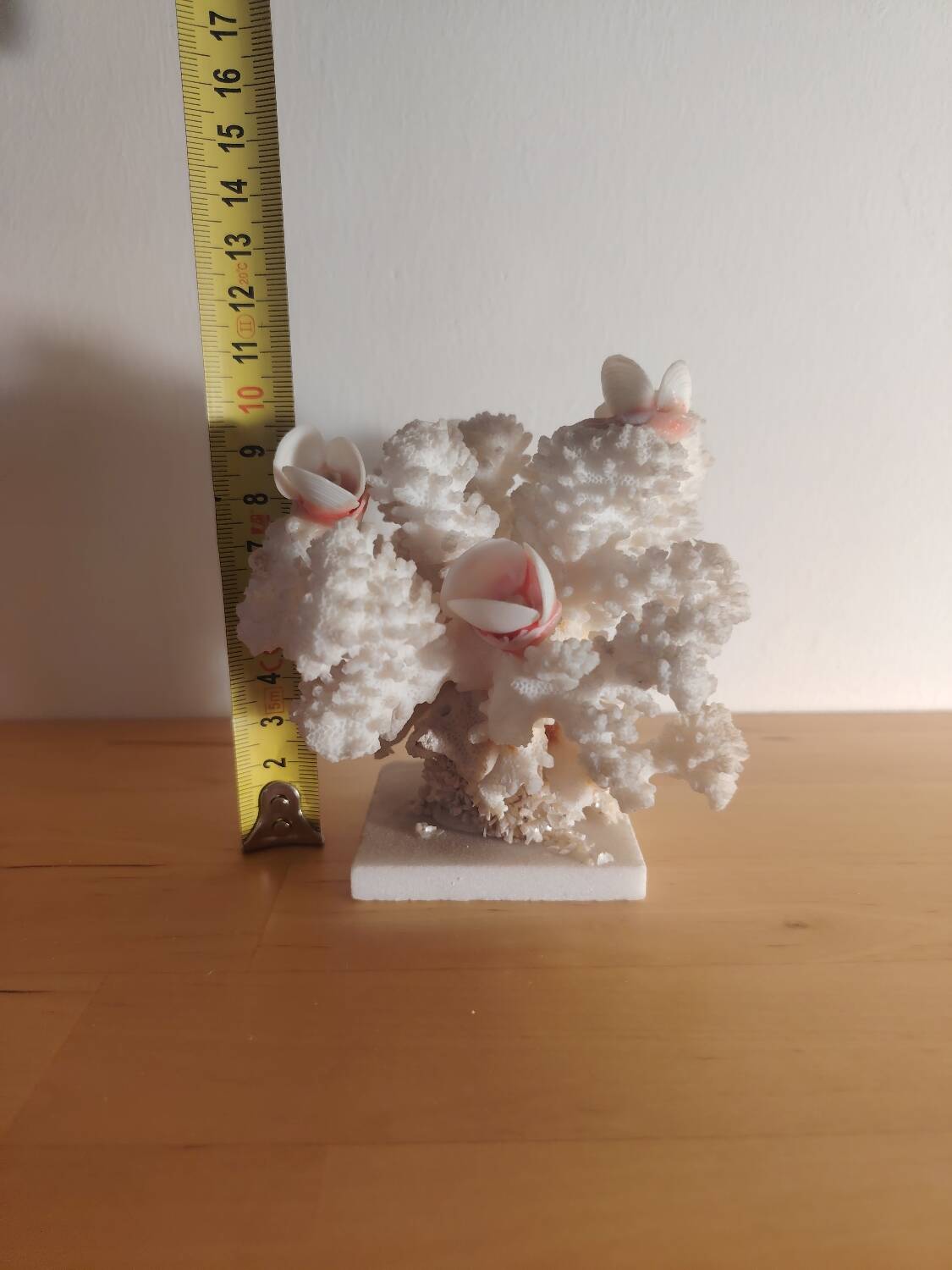 Antique white coral adorned with pink seashells