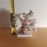 Antique white coral adorned with pink seashells