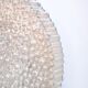 Wall lamp by Motoko Ishii for Staff, 1970s