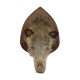Wild boar head taxidermy wild boar bust stuffed animal 55cm