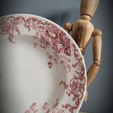 Quartet plates Campanula