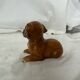 Ceramic dog